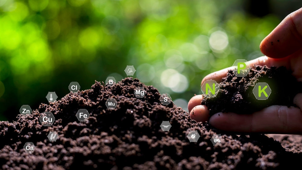 Why Probiotics from Siberian Soil? The Unique Origins of Tundrex