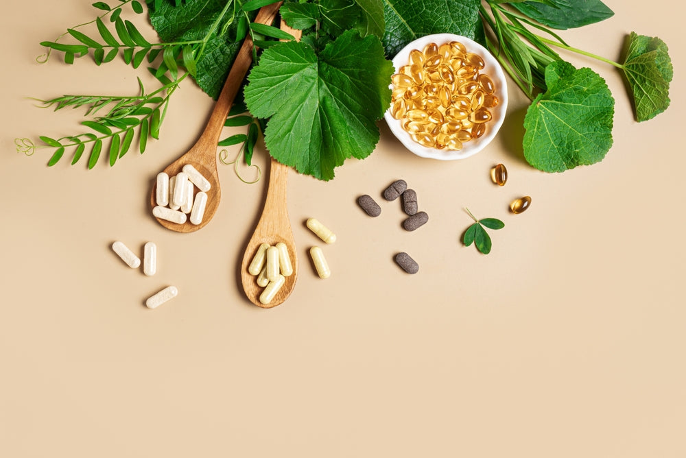 Plant-Based Diets and Probiotics: Balancing Your Microbiome Without Dairy