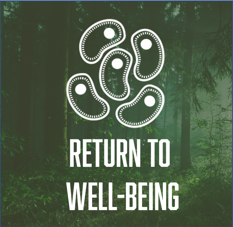 Return To Well-Being